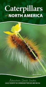 Caterpillars of North America Quick Guide