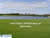 Review of Common Turfgrass Disorders: Diseases, Nematodes, and Non-pests