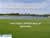 Review of Common Turfgrass Disorders: Damaging Insects