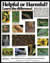 Beneficial Insect Poster