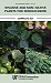 Invasive and Non-native Plants You Should Know