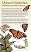 Monarch Butterflies: Southeastern United States