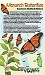 Monarch Butterflies: Eastern United States