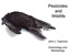 Pesticides and Wildlife Management
