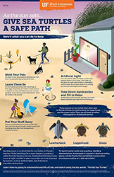 Give Sea Turtles a Safe Path poster