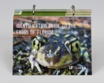 Identification Guide to the Frogs of Florida