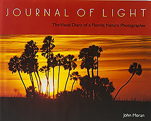 Journal of Light: The Visual Diary of a Florida Nature Photographer