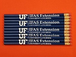 Extension pencils