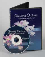 Growing Orchids is Easier Than You Think!