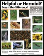 Beneficial Insect Poster
