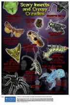 Scary Insects and Creepy Crawlies Poster