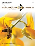 Pollinator Power! Safari Kit