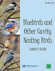 Bluebirds and Other Cavity Nesting Birds: Leader's Guide