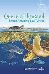One in a Thousand: Those Amazing Sea Turtles