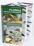 Florida Reptiles & Amphibians - A Folding Pocket Guide to Familiar Species