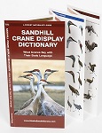 Sandhill Crane Display Dictionary - What Cranes Say with Their Body Language