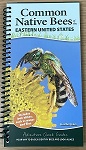 Common Native Bees of the Eastern United States