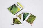 Trees of the Southeast Playing Cards