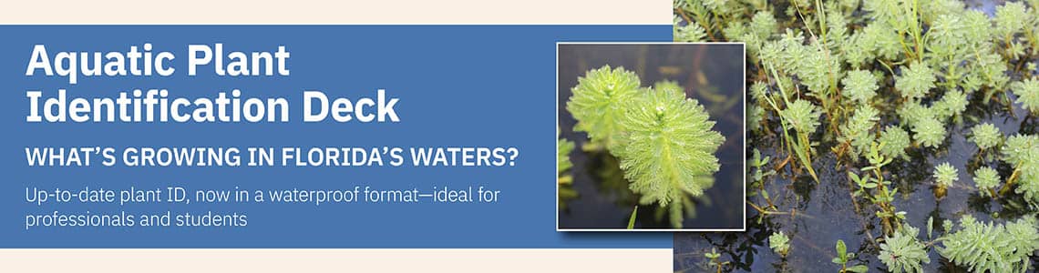 Aquatic Plant Identification Deck; What's growing on Florida's Waters?; Up-to-date plant ID, now in a waterproof format - ideal for professionals and students