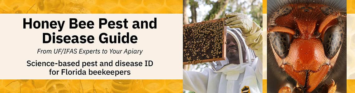 Honey Bee Pest and Disease Guide - From UF/IFAS Experts To Your Apiary; Science-based pest and disease ID for Florida beekeepers