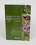 Propagating Fruit Plants in Florida