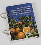 Identification of Mites, Insects, Diseases, Nutritional Symptoms and Disorders on Citrus