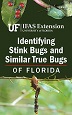 Identifying Stink Bugs and Similar True Bugs of Florida