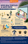 Give Sea Turtles a Safe Path Nesting Poster