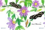 Cover page with a large, black butterfly drawing and purple flowers