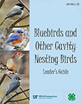 Bluebirds and Other Cavity Nesting Birds