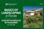 Basics of Landscaping in Florida Bilingual ID Deck