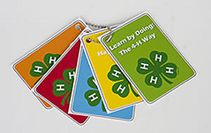 4-H Experiential Learning Cards