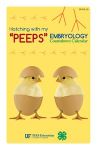 Hatching with My "Peeps": Embryology Countdown Calendar