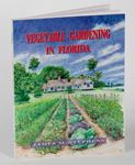 Vegetable Gardening in Florida