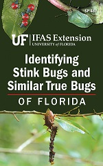 Identifying Stink Bugs and Similar True Bugs of Florida