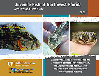 Juvenile Fish of Northwest Florida