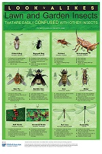 Look-alikes: Lawn and Garden Insects