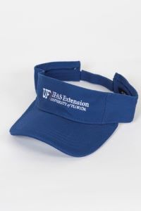 Extension Visor