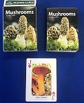 Mushroom Card Deck