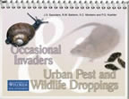 Occasional Invaders & Urban Pest and Wildlife Droppings