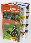 Florida Butterflies & Pollinators - A Folding Pocket Guide to Familiar Species
