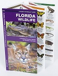 Florida Wildlife - A Folding Pocket Guide to Familiar Species