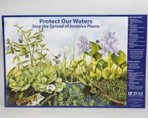 Stop the Spread of Invasive Plants poster