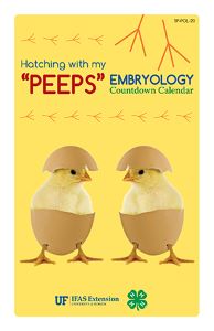 Hatching with My "Peeps": Embryology Countdown Calendar